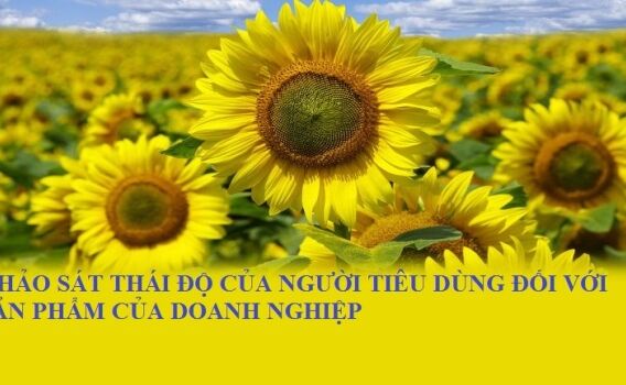 Mời tham gia khảo sát thái độ của người tiêu dùng đối với sản phẩm của doanh nghiệp