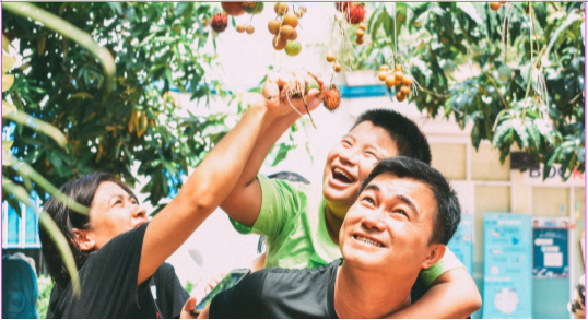 Dự án A365