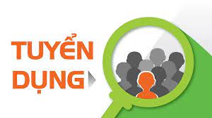 CCIHP TUYỂN TƯ VẤN CÁ NHÂN HOẶC NHÓM TƯ VẤN DỊCH TÀI LIỆU