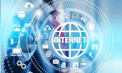 Tìm kiếm và sử dụng thông tin trực tuyến