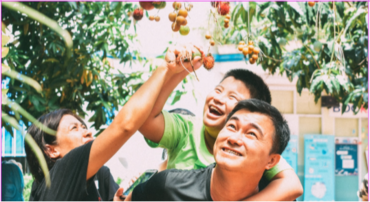 Dự án A365