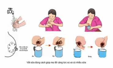 Cách vắt sữa mẹ để dành