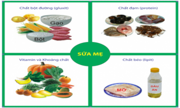 Phụ nữ mang thai, trẻ em cần được ăn đầy đủ những nhóm chất dinh dưỡng nào?